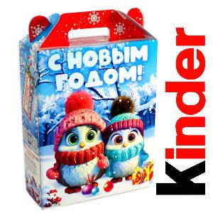 Детский подарок на Новый Год в жестяной упаковке весом 830 грамм по цене 3297 руб в Петрозаводске